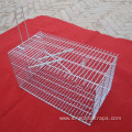 Squirrel Small Single Door Cage Animal Trap